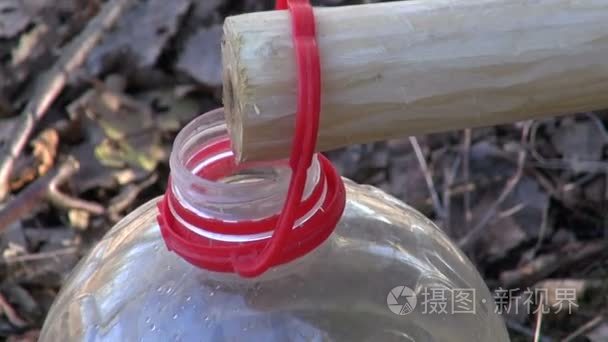 白桦树汁滴在塑料瓶视频