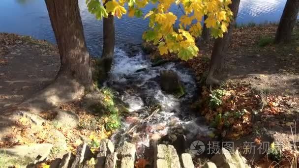 水的级联流下岩石安置，冬天湖镶嵌黄色枫叶