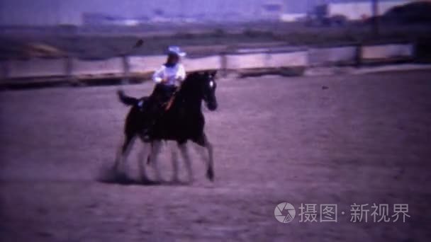 马在跳篱笆障碍的竞争驰骋视频