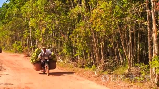 男子驾驶自行车与成熟椰子视频