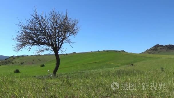 在撒丁岛的温暖春天视频