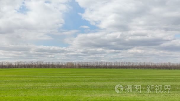 俄罗斯，游戏中时光倒流。冬小麦在早春在广阔的大草原的老爷子的田地上空的云块的运动