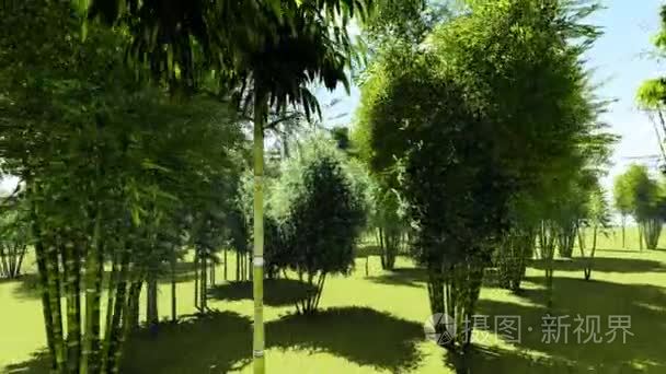 竹森林动画视频