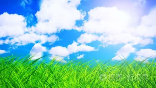 Green grass over cloudy sky (seamless loop)