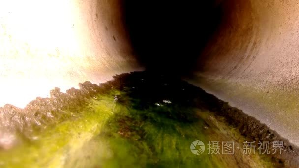 下水道与脏水和藻类视频