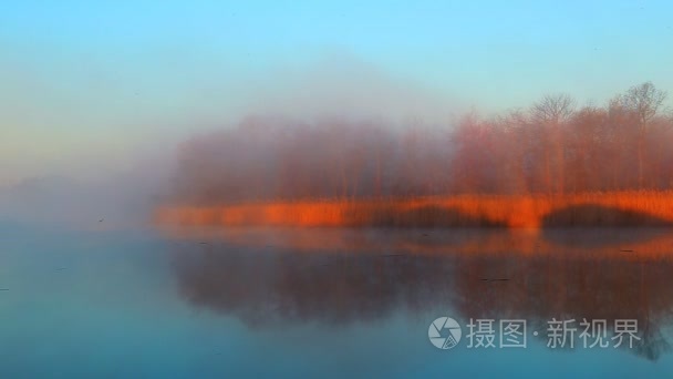 雾的天空河清水湾森林视频