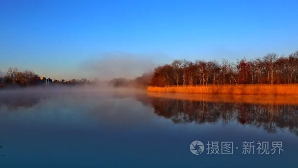 雾的天空河清水湾森林视频