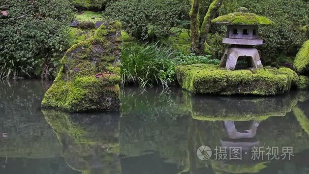 高清晰度的波特兰日本花园池塘水反射石灯笼春暖花开季节 1080p 高清视频