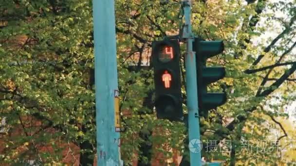 交通灯的十字路口时间流逝视频