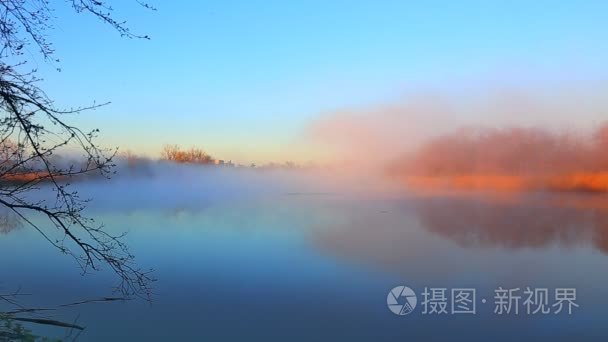 雾的天空河清水湾森林视频