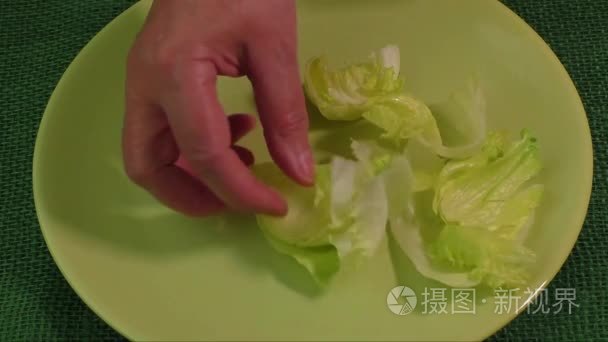 在盘子上的绿叶生菜视频