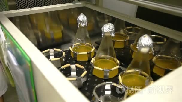 关闭了女科学家荷载小瓶的液体进入孵化器摇床在实验室
