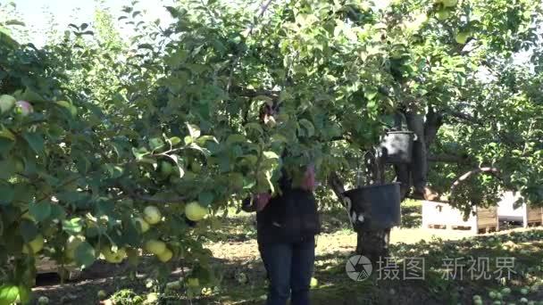 医护人员在办公室集合开会.. 医务人员进行指导..