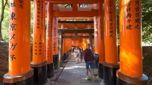 伏见inari 神社的鸟居门mov格式视频下载 正版视频编号00q6d5 摄图新视界视频库