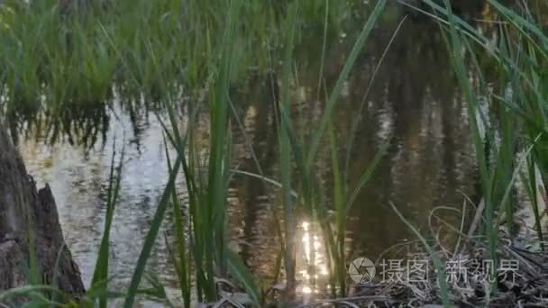 草河阳光刺眼的太阳自然景观附近