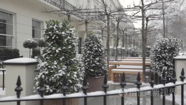 花园的雪冬