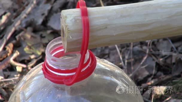 树汁滴在塑料瓶视频