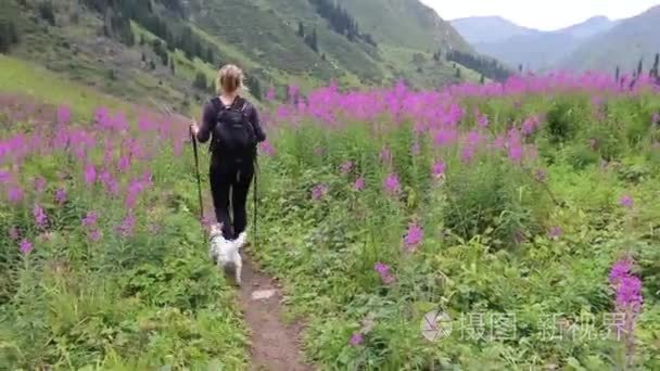 赛跑者男子短跑运行快速路上在日落时。男运动员短跑速度在山公路训练为马拉松生活健康积极的生活方式在性质上运行