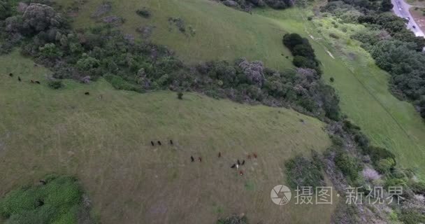 公路绿化面积视频