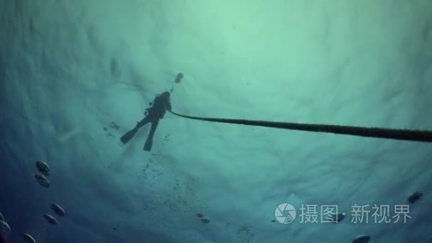 潜水员从深度海底沿绳索登高视频