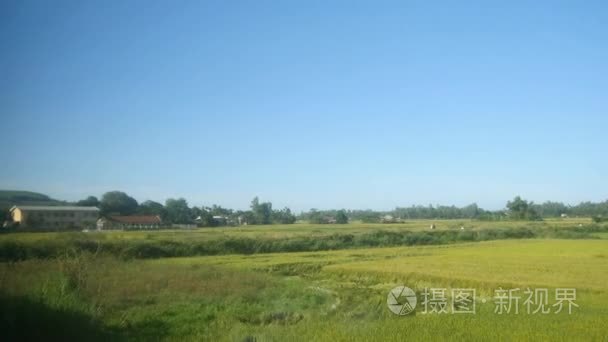乡村景观观从火车窗口视频