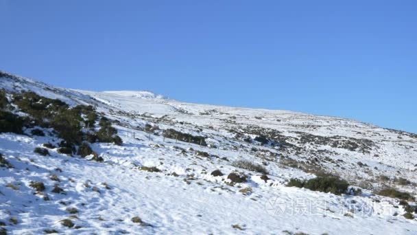 荒野雪山视频