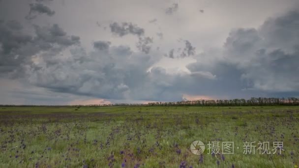 雷云在冬小麦早春在广阔的大草原的老爷子的田地，运动