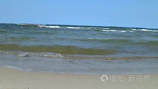 在波兰波罗的海海滩视频