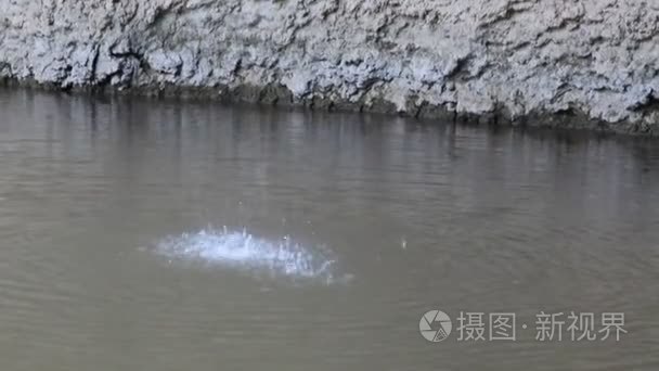 水滴灌滴视频