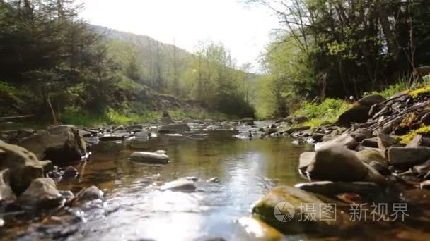 水在河边的岩石和森林之间浮动视频