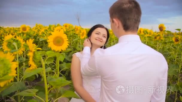夫妇爱情包围的向日葵视频