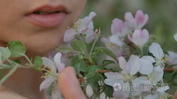 女孩的脸紧靠棵苹果树花背景