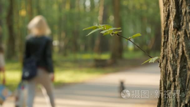 模糊的背景的人活动在公园里散景，春天和夏天的季节