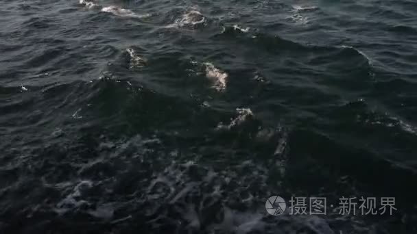 清洁和平静的海视频