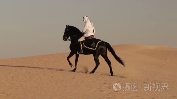 阿拉伯马骑手骑在迪拜沙漠