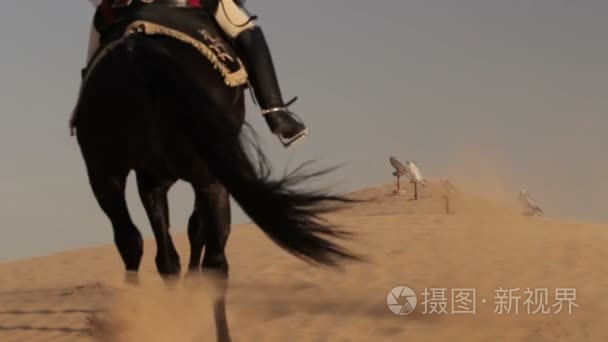 阿拉伯马骑手骑在迪拜沙漠