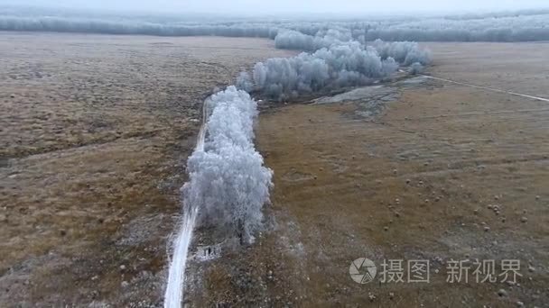冬季景观与树结了霜的航拍视频