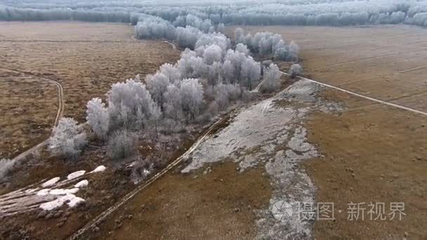 冬季景观与树结了霜的航拍视频