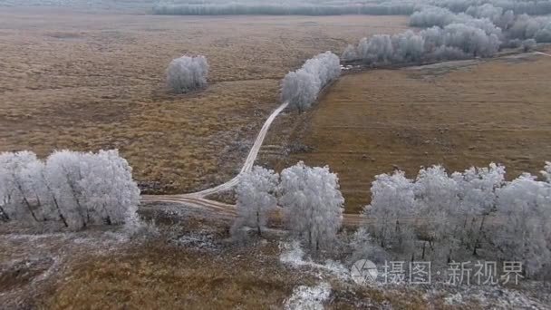冬季景观与树结了霜的航拍视频