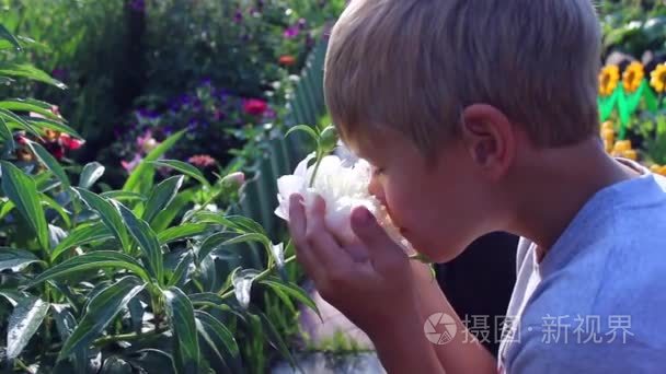 儿童吸入绽放的花朵香气视频