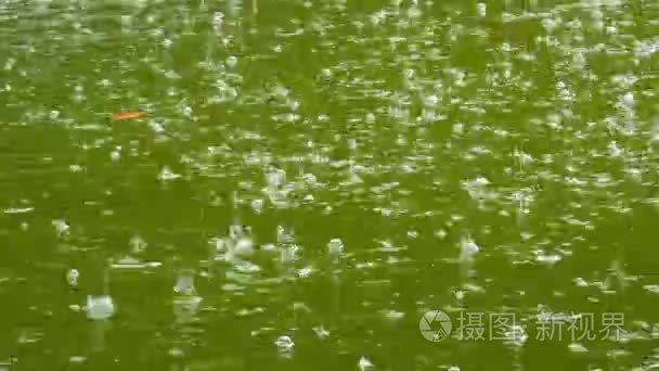 雨落在水视频