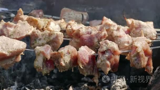 肉类食品烹饪上野餐烧烤火视频