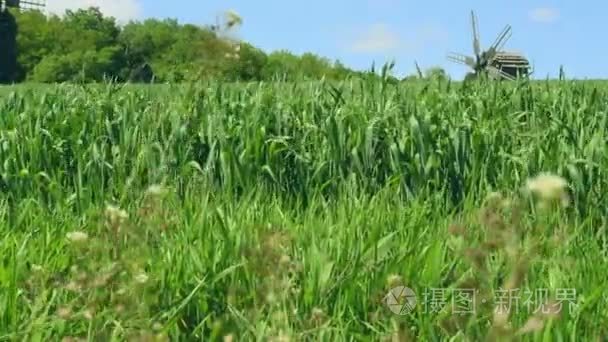 夏田历史风车景观附近绿树