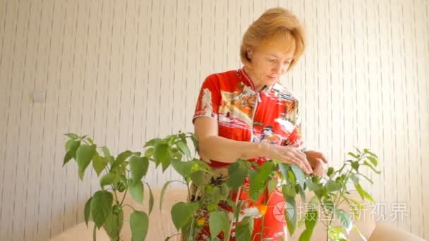 一个女人生物学家的画像视频