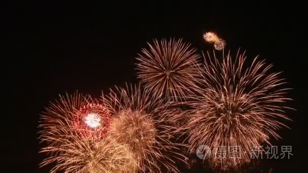 美丽的日本烟花在夜空中视频