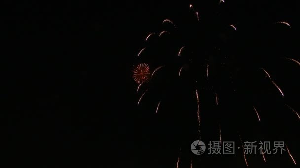 美丽的日本烟花在夜空中视频