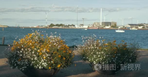 从海滨城市海港视频