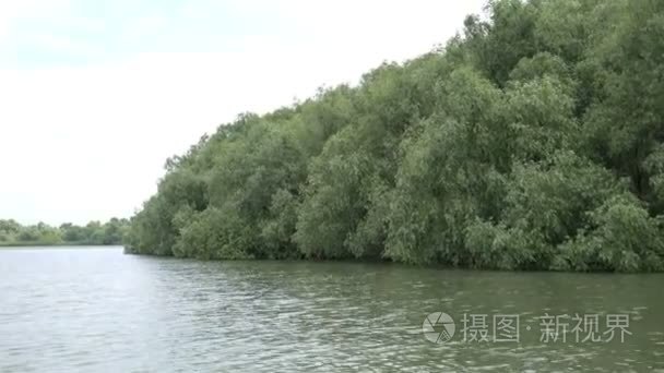 在多瑙河三角洲景观视频