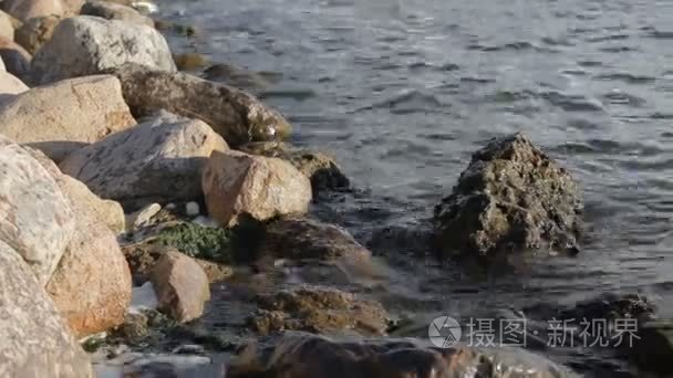 在日落时湖上岩石上的浪花视频