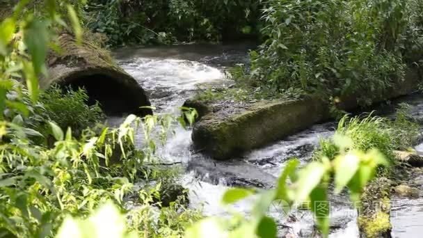 废水污水污染河流视频